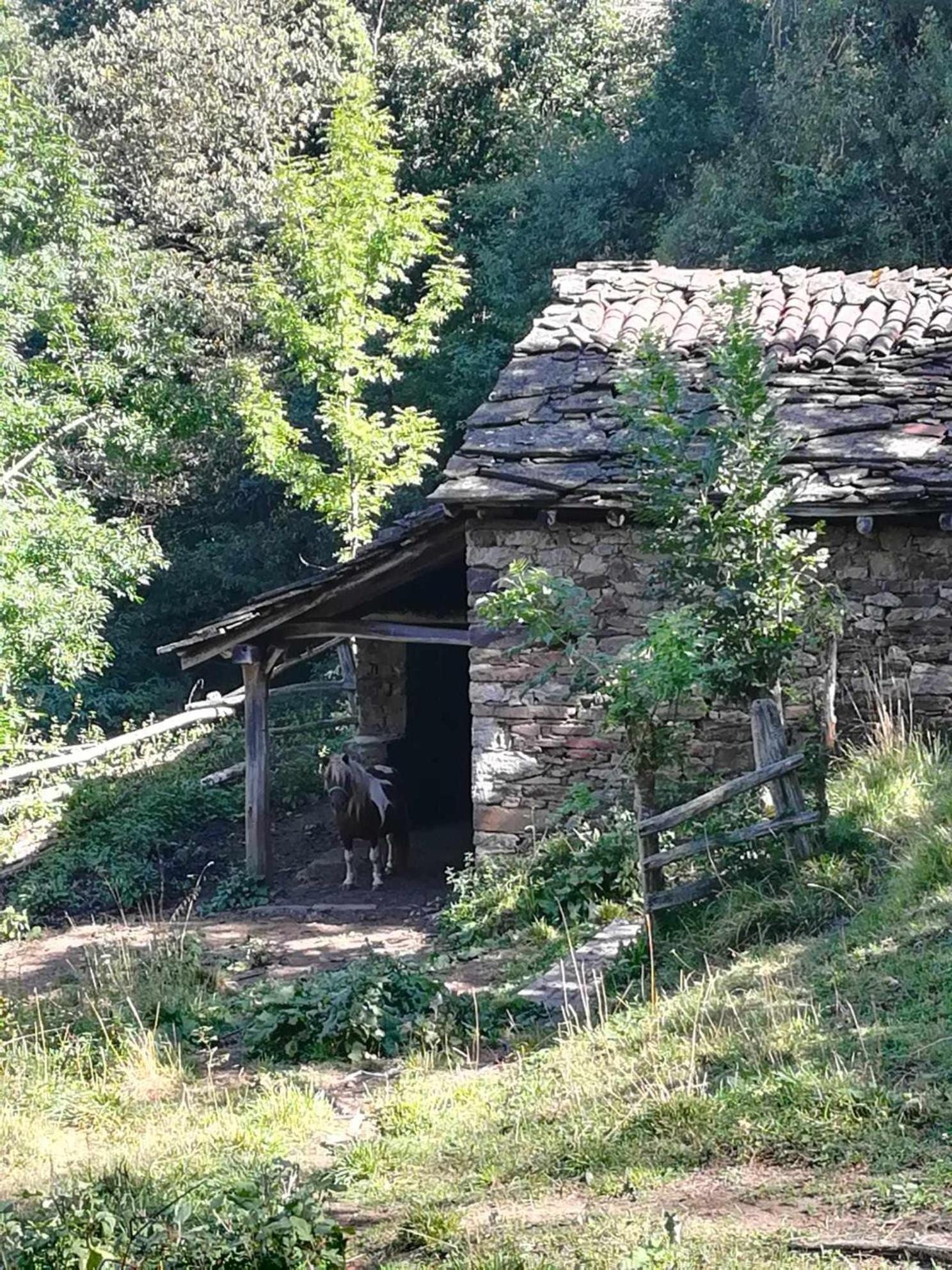Apartamento Asturias Boho Chic Aller Exterior foto